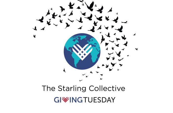 2020/10 GivingTuesday Starling Collective